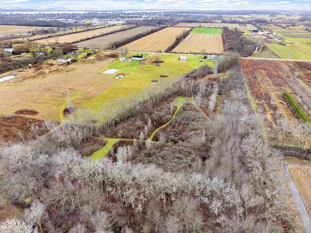 drone / aerial view featuring a rural view