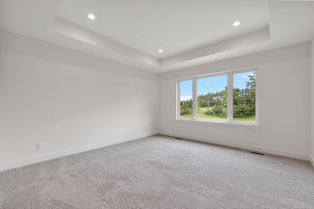 carpeted spare room featuring a raised ceiling