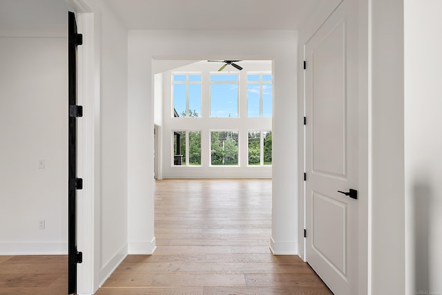 hall featuring crown molding and light wood-type flooring