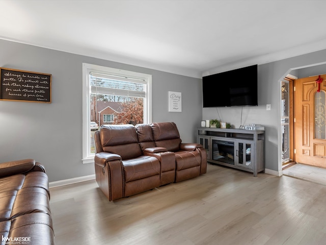 living room featuring light hardwood / wood-style floors