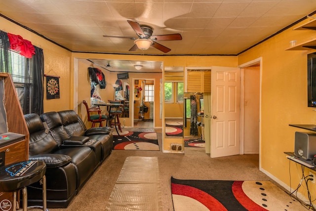 living room featuring carpet, ceiling fan, and crown molding