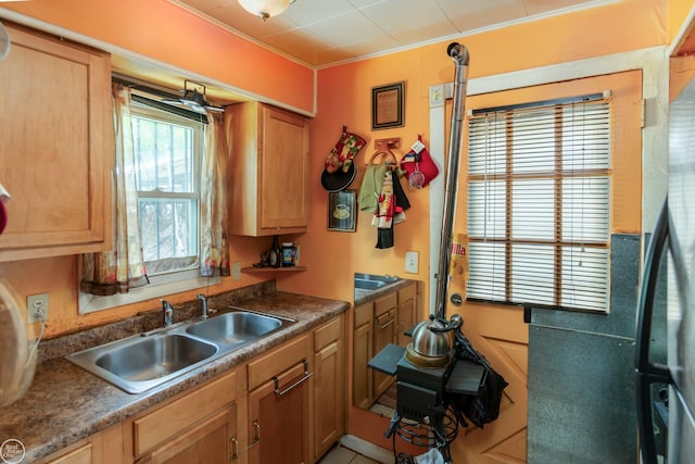 kitchen featuring crown molding and sink