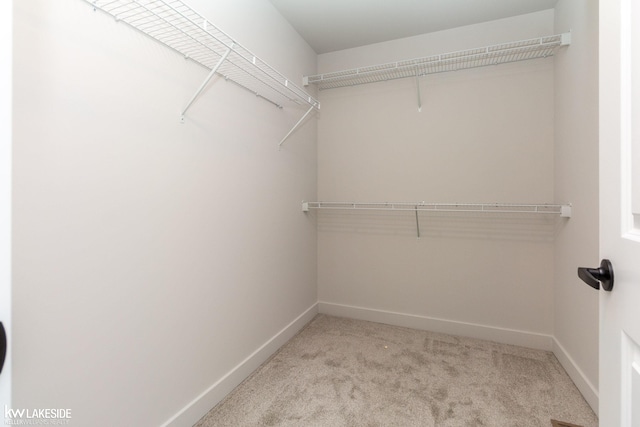 walk in closet with light carpet