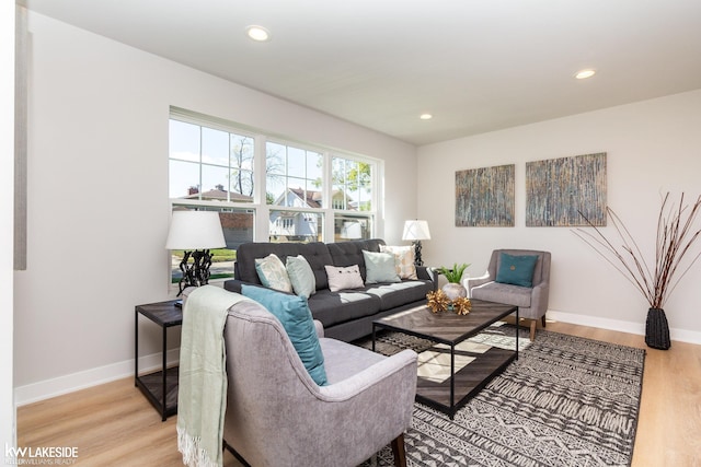 living room featuring light hardwood / wood-style floors