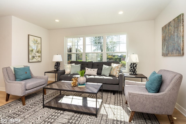 living room with wood-type flooring