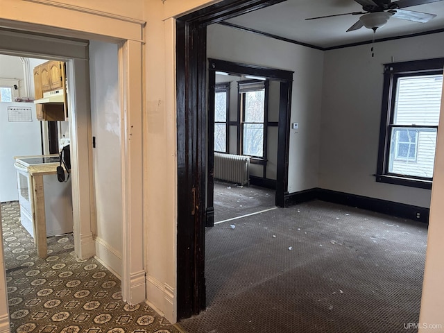 interior space with radiator heating unit and crown molding