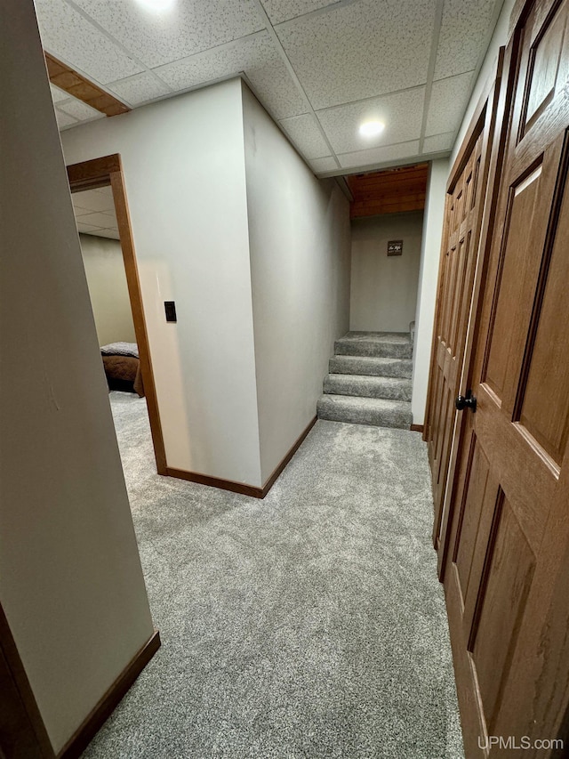 hall featuring a paneled ceiling and light colored carpet