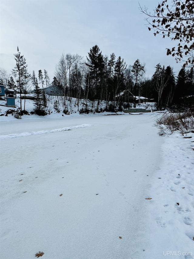 view of yard covered in snow