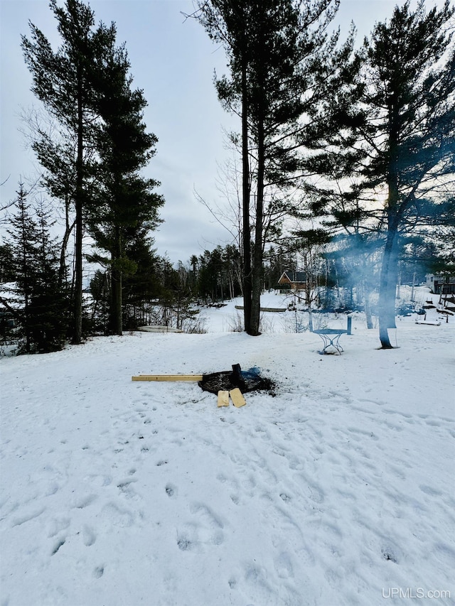 view of yard layered in snow