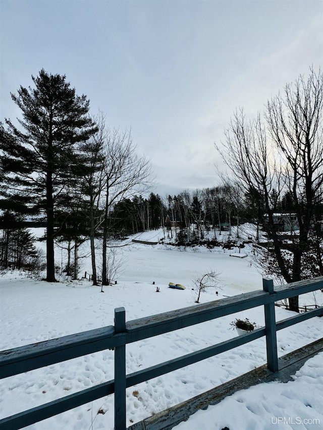 view of yard covered in snow