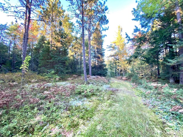 Listing photo 3 for TBD Shot Point Dr, Marquette MI 49855