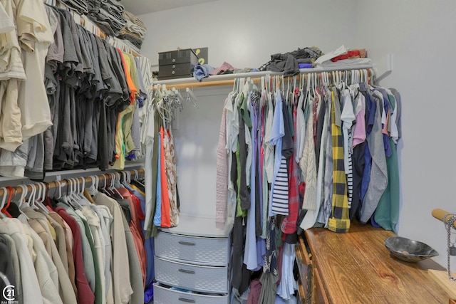 view of walk in closet