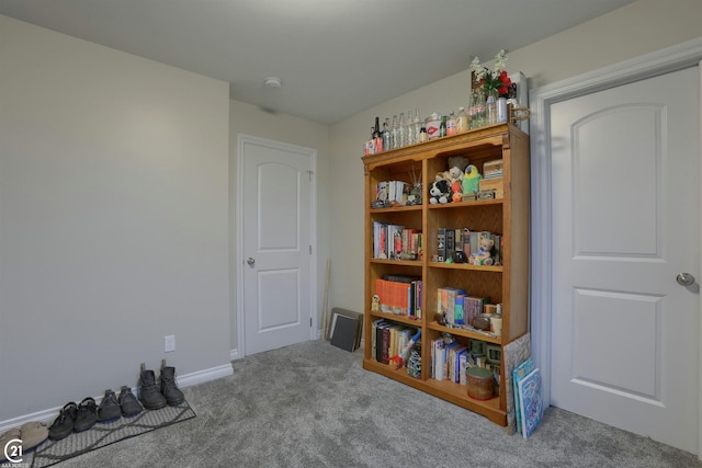 misc room featuring light colored carpet