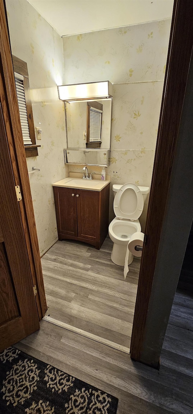 bathroom featuring vanity, toilet, and wood-type flooring