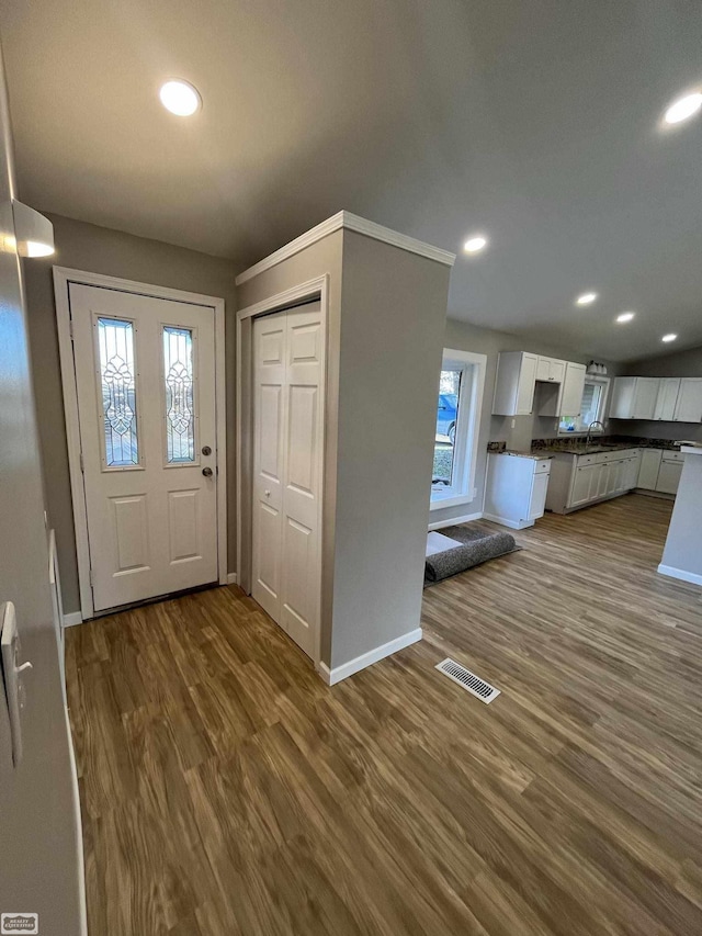 foyer entrance featuring wood-type flooring and sink