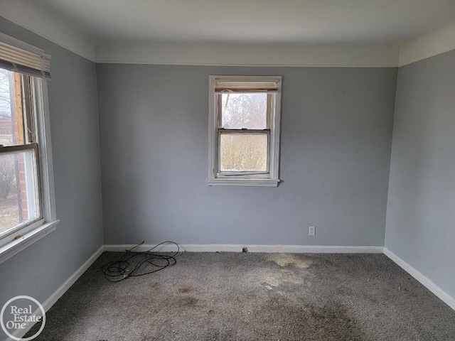 empty room with a wealth of natural light and carpet