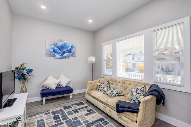 living room with dark hardwood / wood-style floors