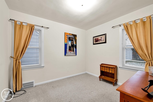 office with plenty of natural light and light carpet