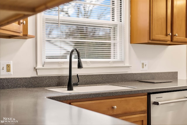 kitchen featuring dishwasher and sink