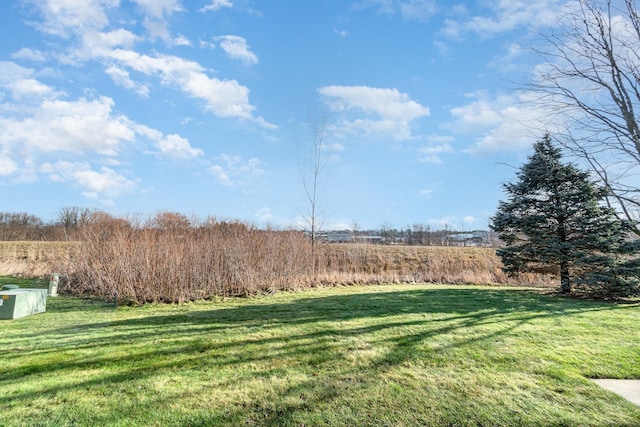 view of yard with a rural view