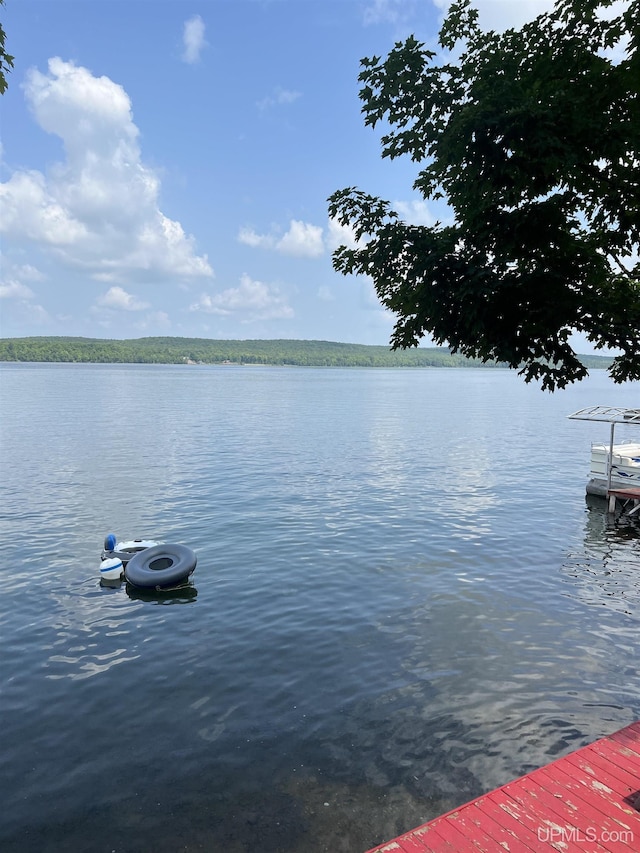 view of water feature