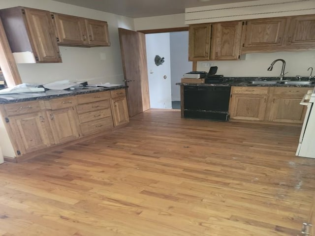 kitchen featuring black dishwasher, sink, and light hardwood / wood-style flooring