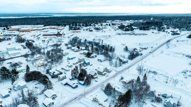 view of snowy aerial view