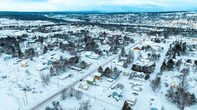 view of snowy aerial view