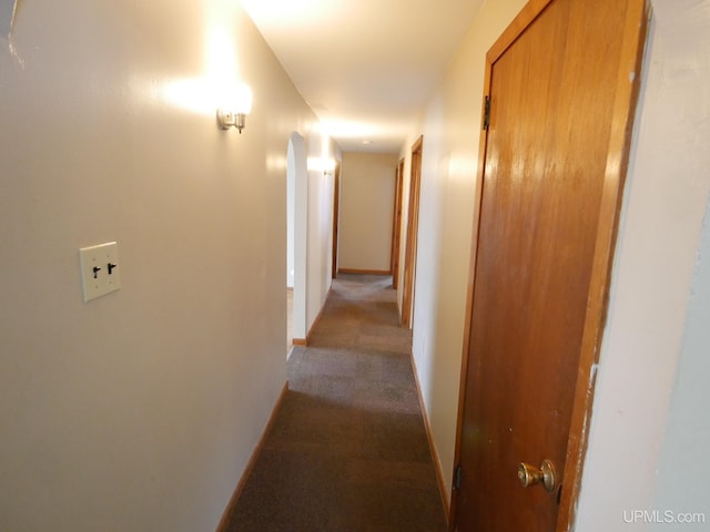 hallway featuring carpet