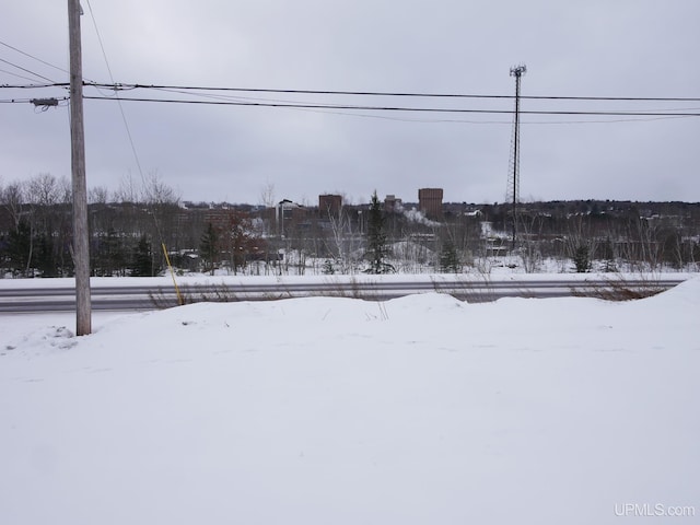 view of yard covered in snow