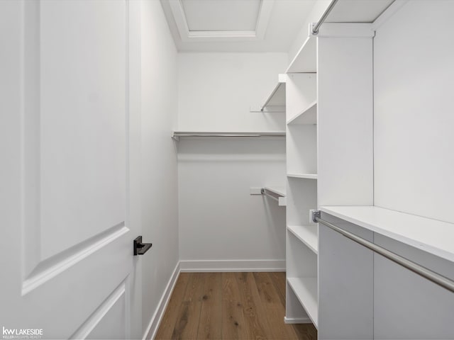 walk in closet featuring dark wood-type flooring