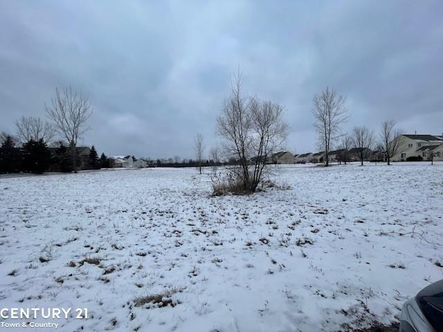 view of yard layered in snow