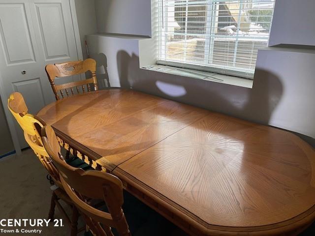 dining space featuring plenty of natural light