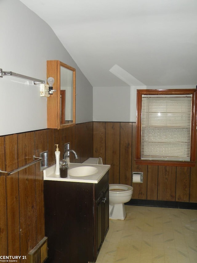 bathroom featuring vanity, toilet, and lofted ceiling