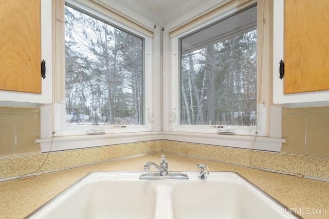 details with backsplash and sink