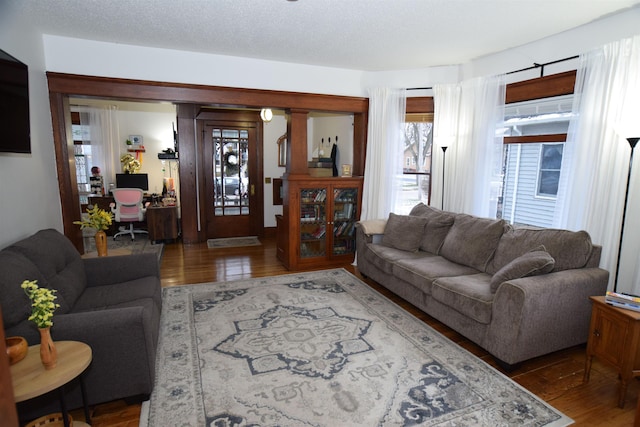 living room featuring dark hardwood / wood-style floors