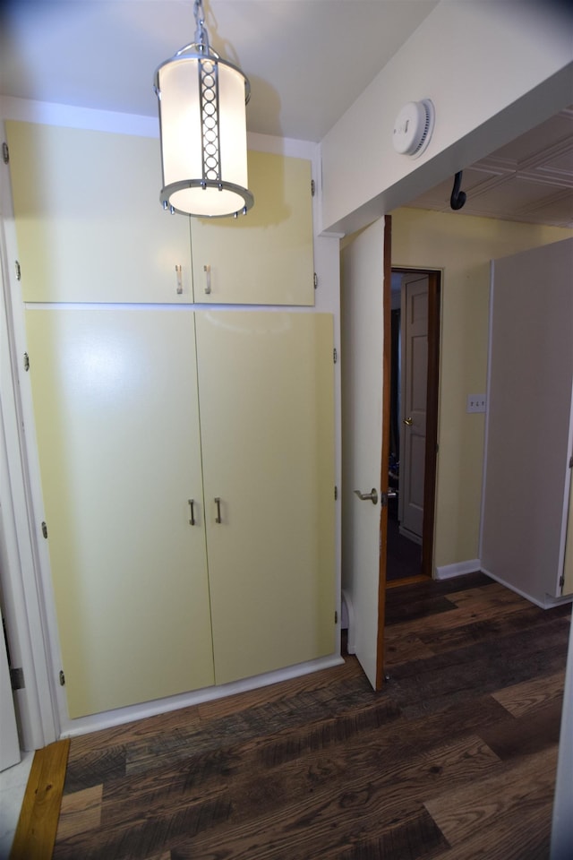 foyer entrance featuring dark hardwood / wood-style floors