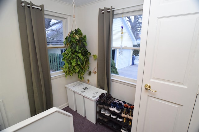 doorway to outside featuring dark colored carpet and a wealth of natural light