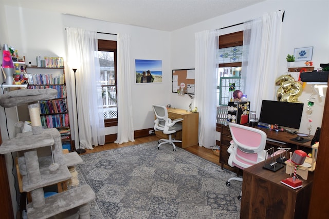 office featuring wood-type flooring