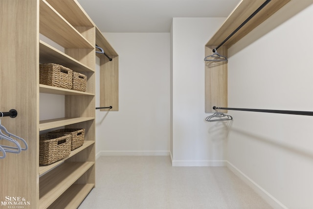 walk in closet with light colored carpet