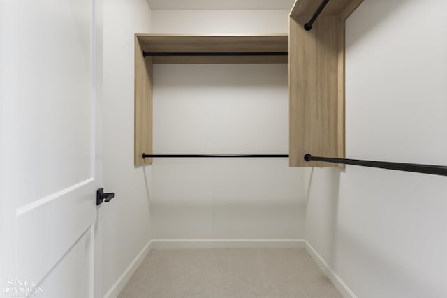 view of spacious closet