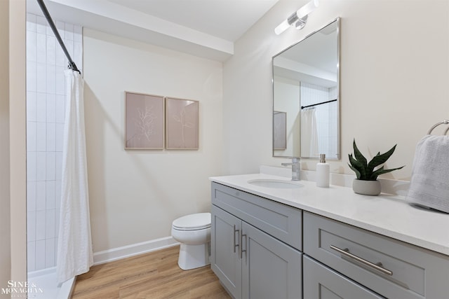 bathroom featuring hardwood / wood-style floors, vanity, and toilet