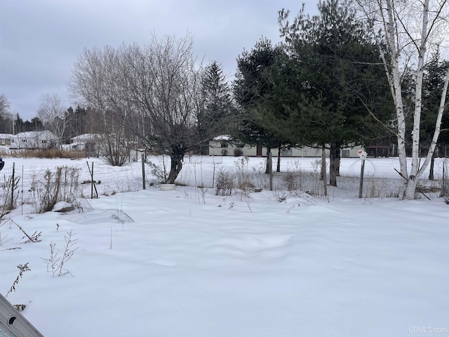 view of yard covered in snow