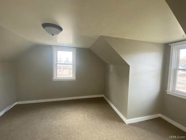 additional living space featuring carpet flooring and lofted ceiling