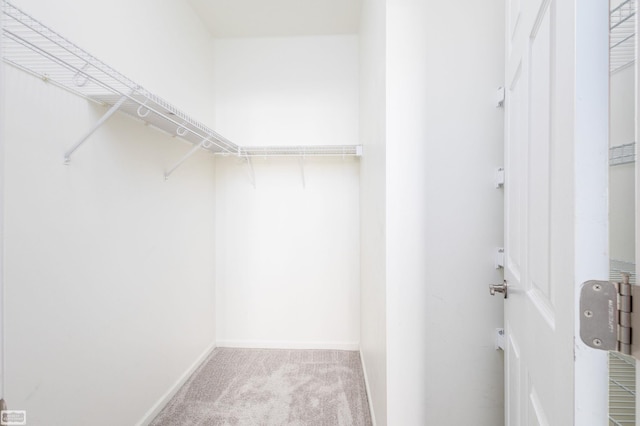 walk in closet featuring light carpet