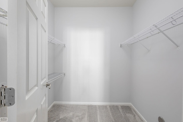 spacious closet with carpet floors