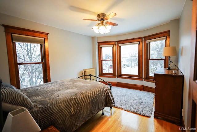 bedroom featuring ceiling fan, light hardwood / wood-style floors, radiator, and multiple windows