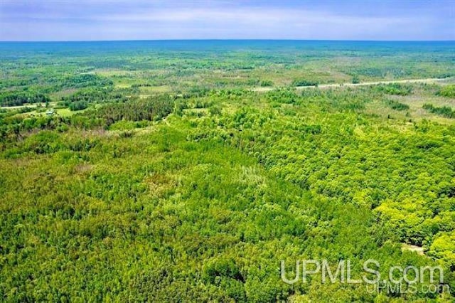 Listing photo 3 for TBD State Highway M35, Rock MI 49880