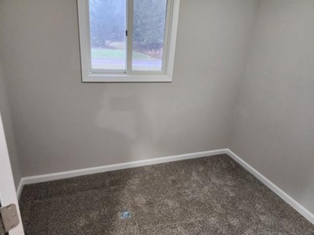 spare room featuring carpet floors