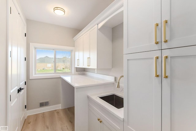 washroom featuring sink and light hardwood / wood-style floors